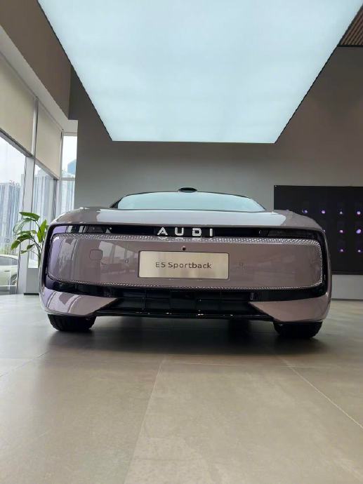 奥迪E5 Sportback的动力表现如何？