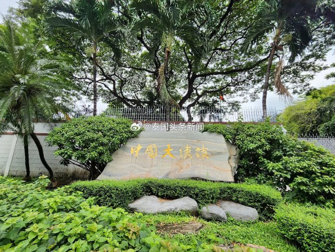 中国游客在泰国被殴打后可以采取哪些法律维权途径？