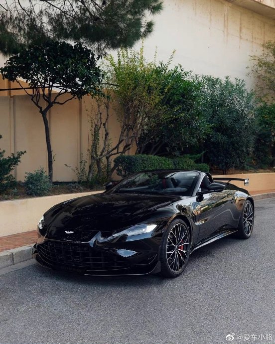 阿斯顿马丁Vantage F1 Edition的敞篷版和硬顶版哪个更值得购买？