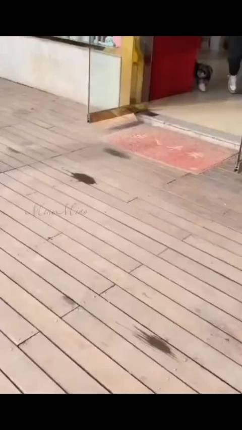 你可以说我不聪明，但不能说我不快乐！
