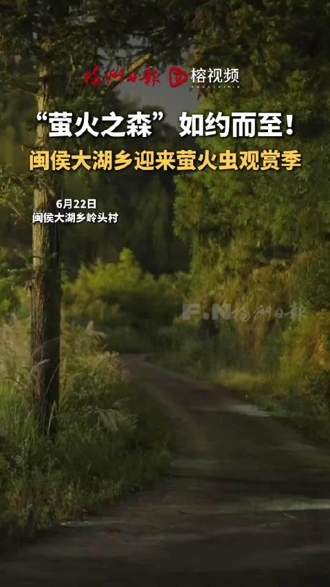 福州闽侯大湖乡萤火虫观赏季，夜幕林间荧光飘荡