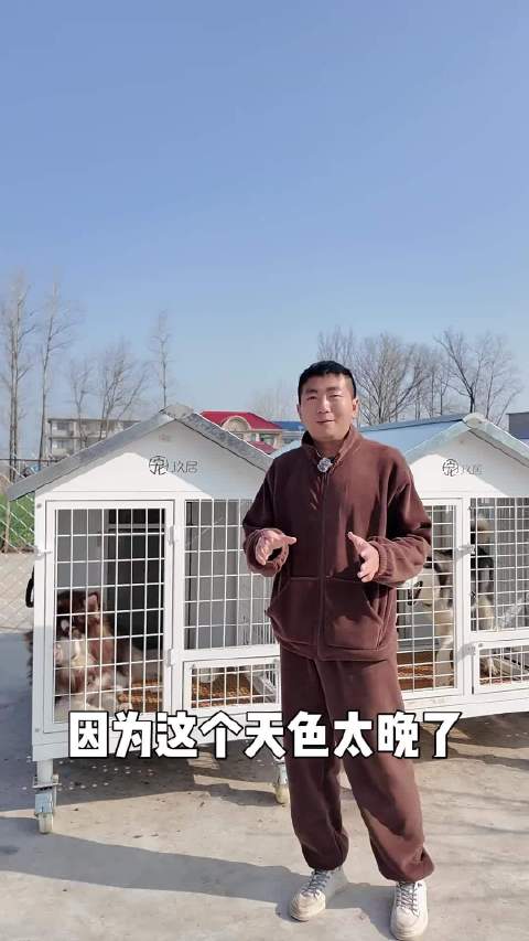 阿拉斯加加入雪橇三傻集齐，体型差萌吓到仔仔