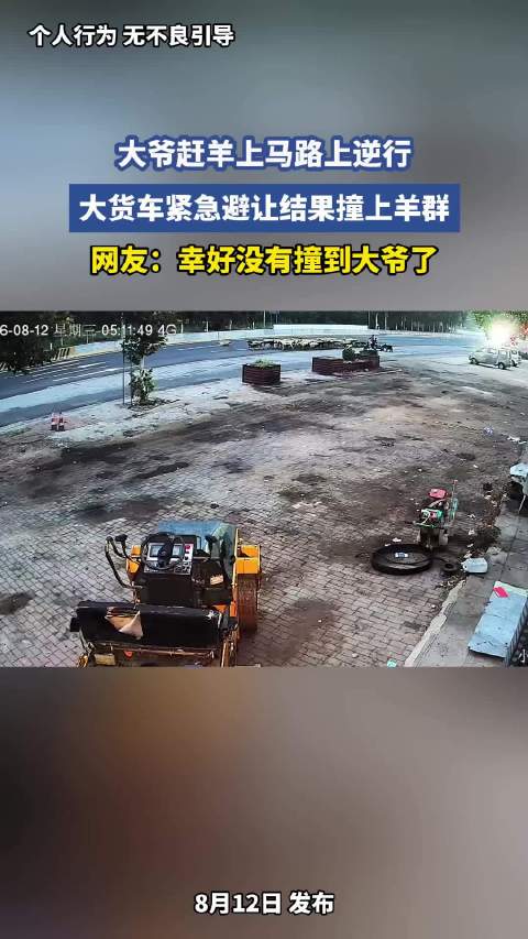 大爷马路逆行赶羊，大货车避让撞上羊群