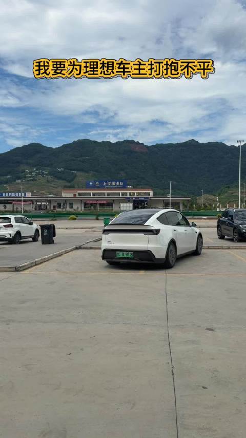 我要为理想车主打抱不平，谁说的理想车主不会停车的！
