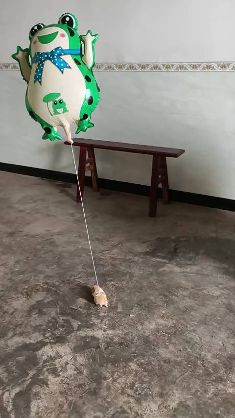 这样就不怕它越狱找不着了