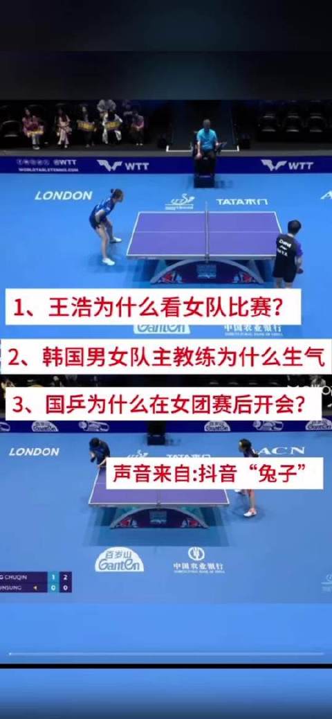 莎莎与金娜英的对决现场，为何白告突然现身观战？原来幕后推手是coco！