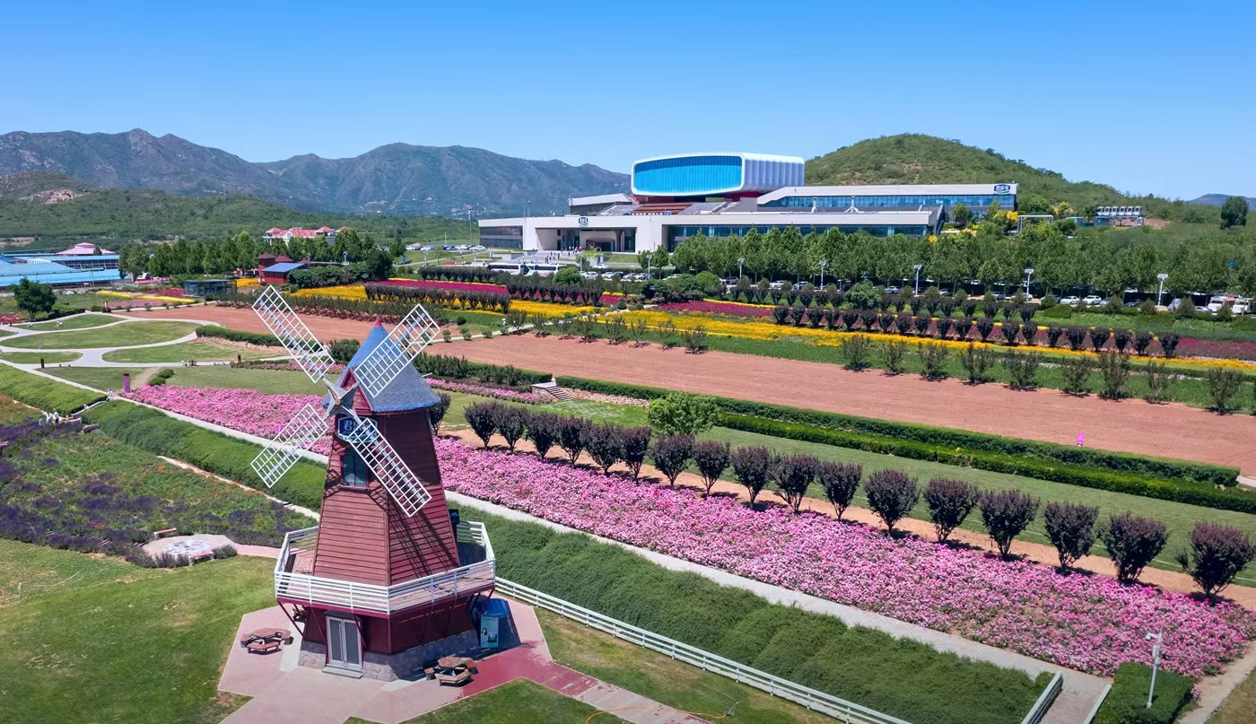 石家莊市君樂寶優致牧場。石家莊市委宣傳部供圖