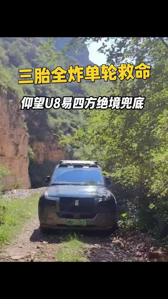 全网看懵！三轮全爆胎，仰望U8紧靠单轮逃出山洪