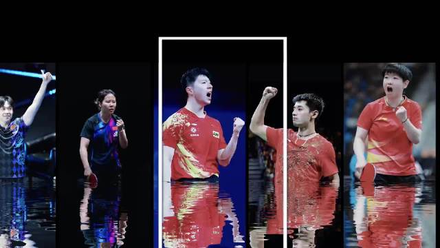 林高远：十七年国手生涯，终是意难平！ 林高远 国乒 乒乓球 体育