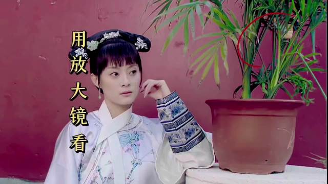 用放大镜看甄嬛传，越看越有趣