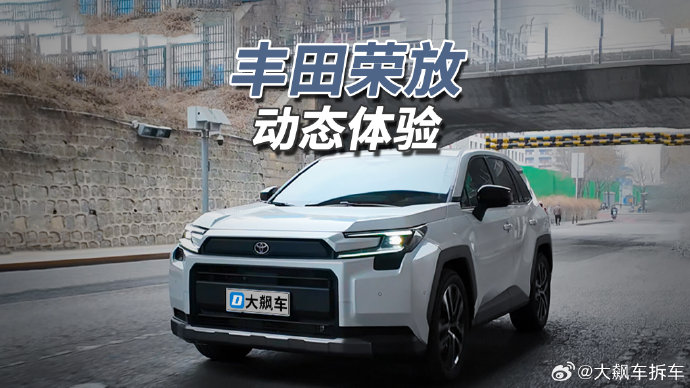 一汽丰田RAV4荣放风尚Plus的安全配置有哪些？