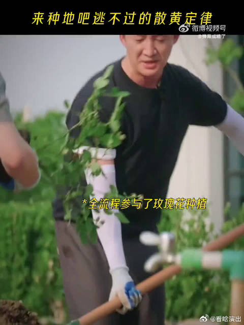 后陡门真的有魔力，不管什么人来体验农活，最后都会被实打实的劳动狠狠拿捏