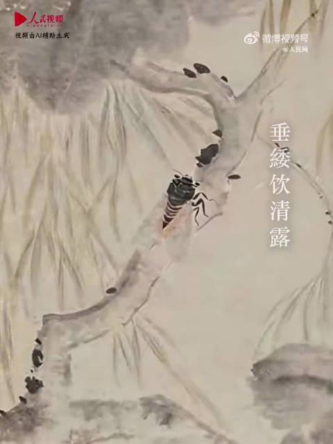 三位画家笔下的双蝉栖枝，绘尽江淮初秋意趣