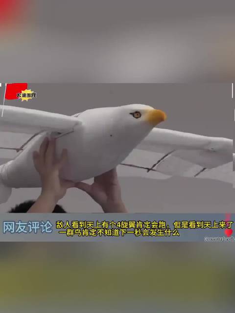 天空中的“伪装者”：中国新型无人机如何让雷达难以分辨？