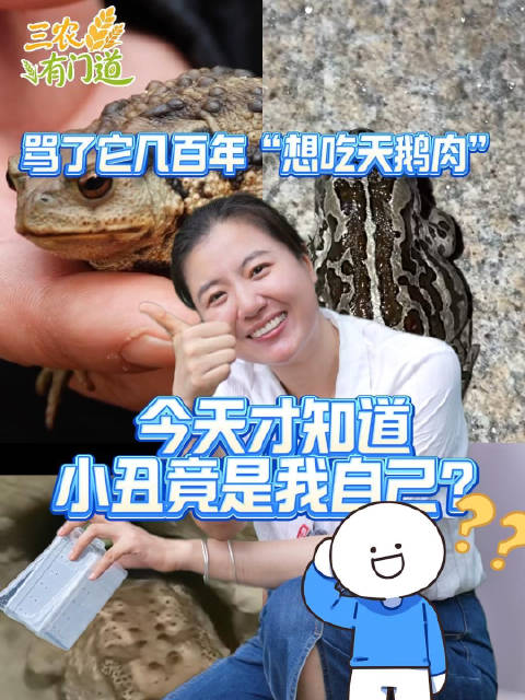 三农有门道 骂了它几百年“想吃天鹅肉”，今天才知道小丑竟是我自己？
