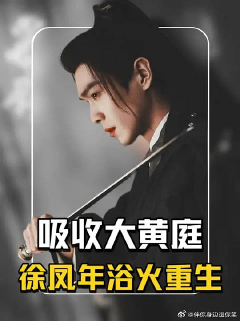 徐凤年被呵呵姑娘重伤，向死而生吸收大黄庭