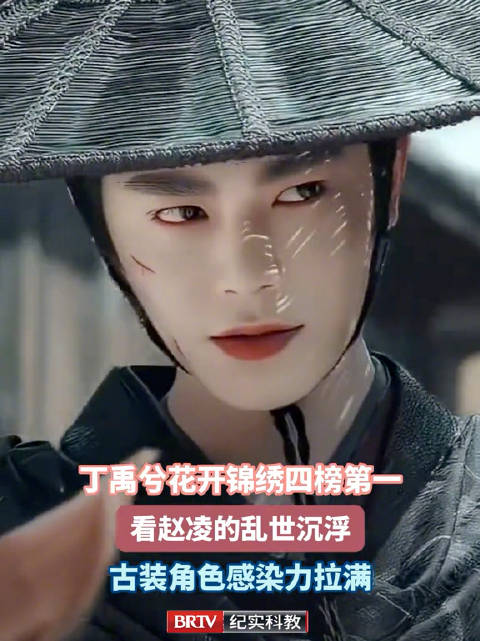 丁禹兮主演花开锦绣四榜登顶第一