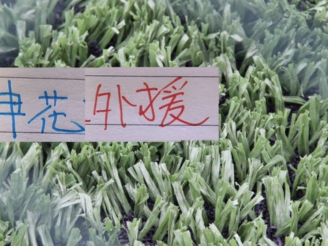 特谢拉停赛复出 申花主战河南 能否实现五外援同时上场 特谢拉停赛复出 申花主战河南 能否实现五外援同时上场