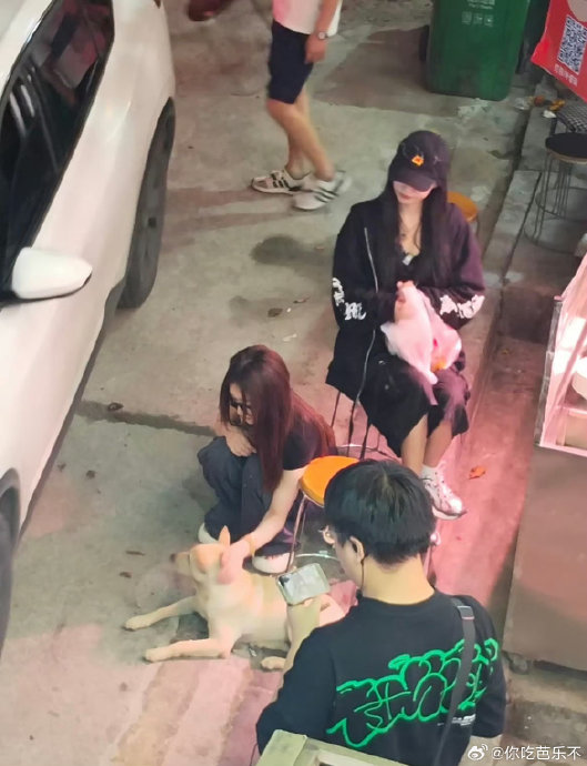 孙怡的粉丝群体有什么特点? 孙怡的粉丝群体有什么特点?