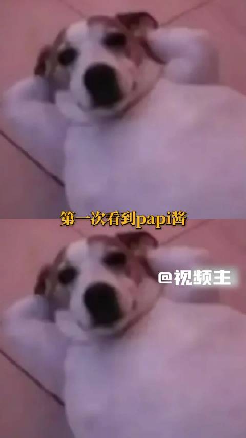 方芳地狱笑话让papi失语，冷幽默尽显通透人生