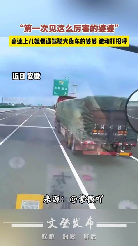 跑车儿媳高速偶遇大货车婆婆，激动互相打招呼