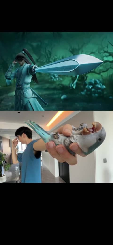 小鸡出战，你又将如何应对！