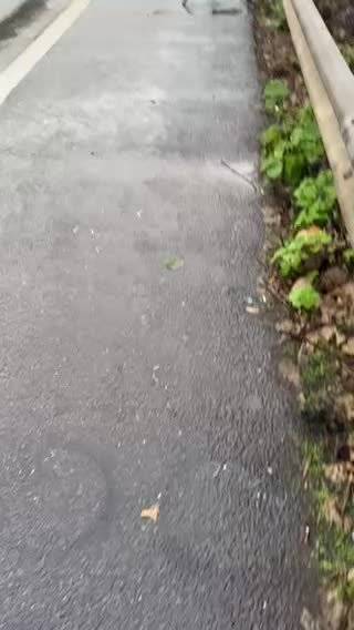 找到一段岚图追光 S 试跑的实拍视频，大家评价一下，有一说一，悬挂很耐造