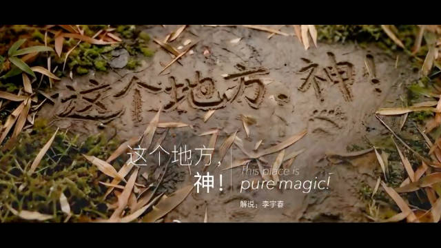 这个地方，神！