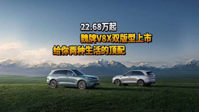 魏牌V8X，豪华家庭版与运动版双车齐发，带你看懂这台拒绝走捷径的大五座旗舰