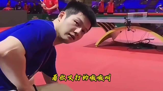 杜塞尔多夫没有亚军，樊振东马龙上演高质量对决