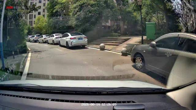 视频车司机：小区内部，前方突然窜出电动车发生碰撞，判我全责，合理吗？