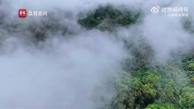 陕西朱雀森林公园雨后云海宛若仙境