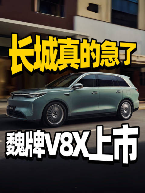 大招全放出来了！魏牌V8X上市！