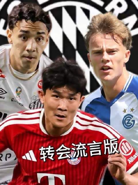 拌饭拜仁专栏