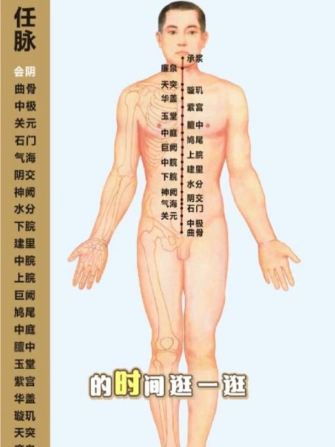 中医知识