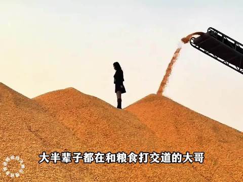 三块钱换来五十粒小麦种子，收麦大哥陷入沉思