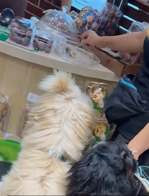 百果园试吃水果变质的事件对其品牌形象产生了哪些影响? 百果园试吃水果变质的事件对其品牌形象产生了哪些影响?
