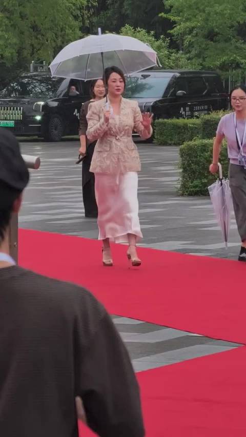湖光嘉年华红毯生图，马丽张译王骁等九位艺人亮相