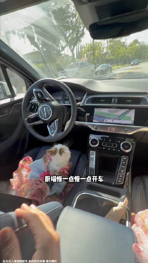 当我在洛杉矶打车打到了无人驾驶出租车