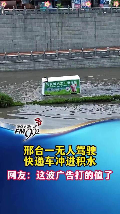 邢台一无人驾驶快递车冲进积水，网友：这波广告打的值了！