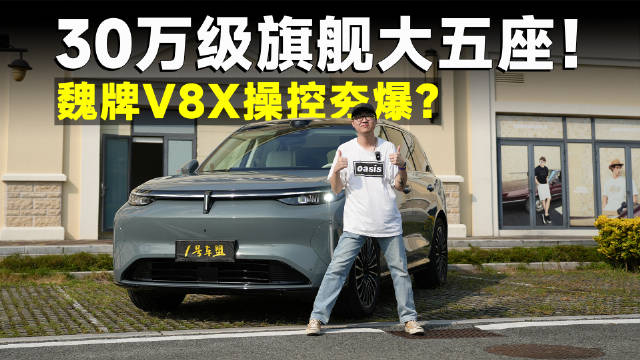 30万级8系SUV，魏牌V8X就是最好开的？