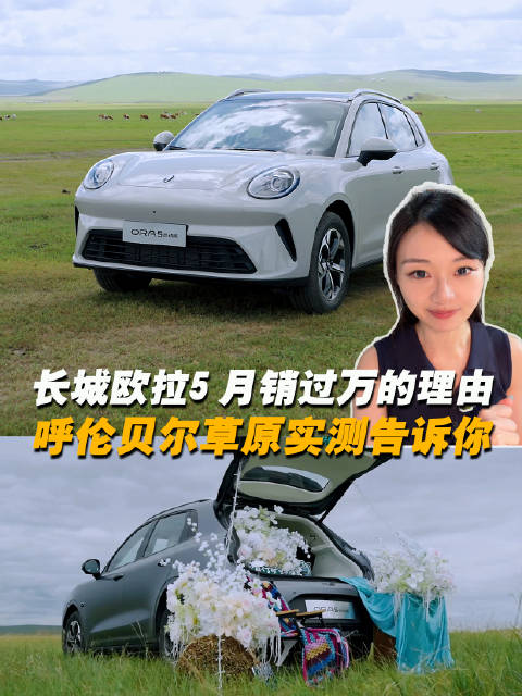 看完呼伦贝尔草原实测，终于懂长城欧拉5为啥月销近万