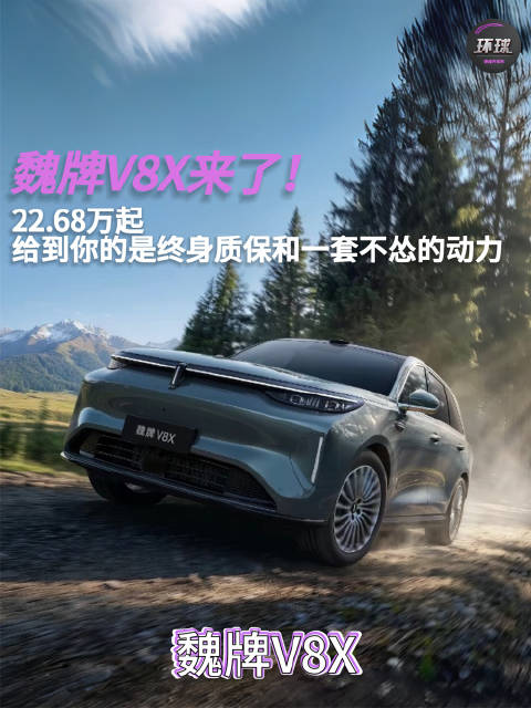 22.68万起，给到你的是终身质保和一套不怂的动力——魏牌V8X来了