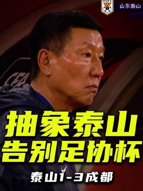 河南话足协杯