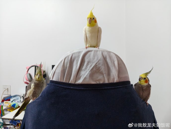 方媛晒全家福未给孩子打码引热议,你怎么看? 方媛晒全家福未给孩子打码引热议,你怎么看?