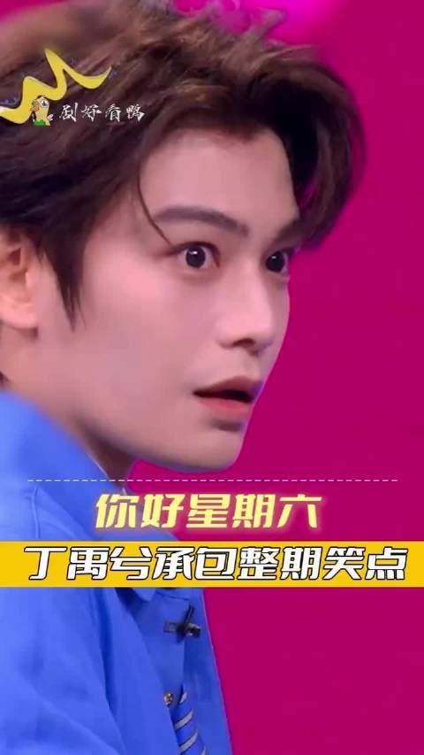 你好星期六 丁禹兮承包整期笑点你好星期六这个夏天夯爆了