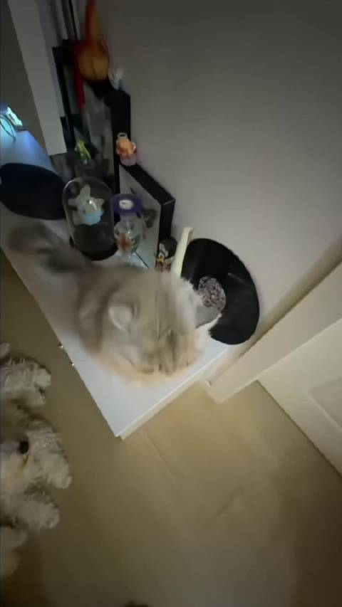 王奕0606奕路繁花启新程王奕0908出道九周年快乐