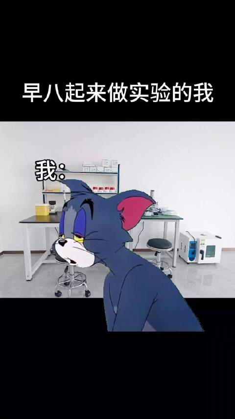 早八起来做实验的我belike