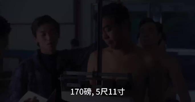 三合会档案