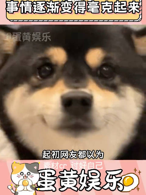 艾顿的森林这辈子你有没有为人拼过命 土拨鼠 反转 万万没想到 嗑cp